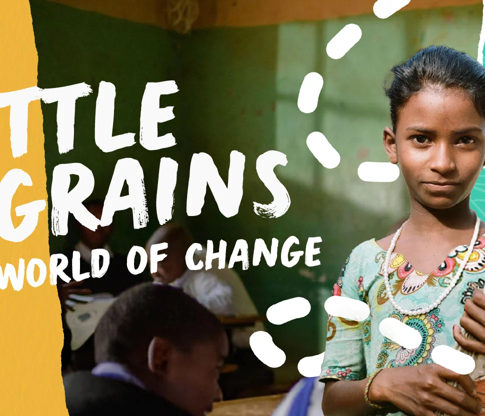 Little Grains, a World of Change
