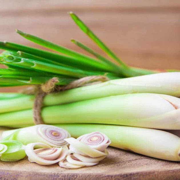 A Guide To Lemongrass
