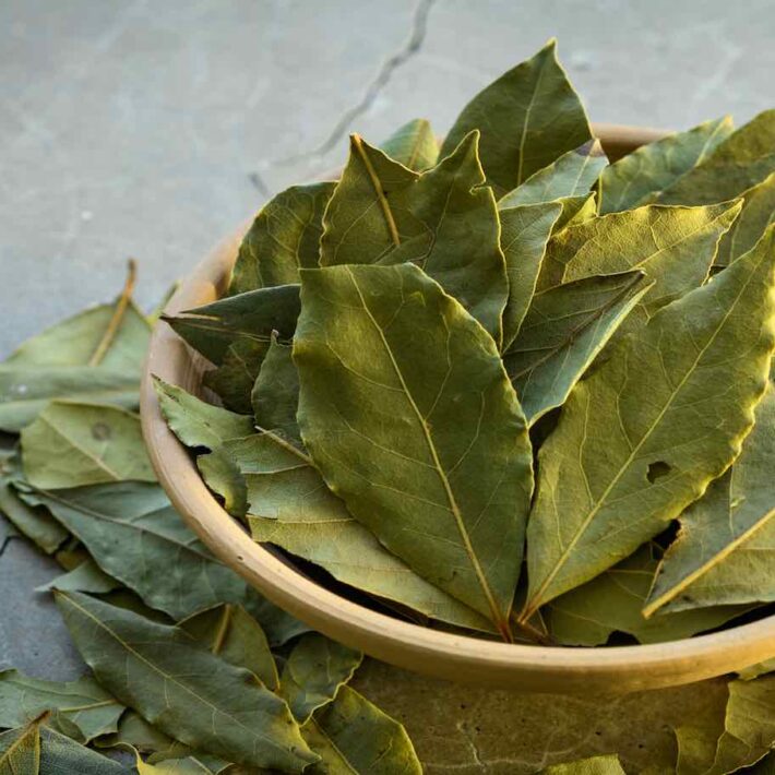 A Guide To Bay Leaves