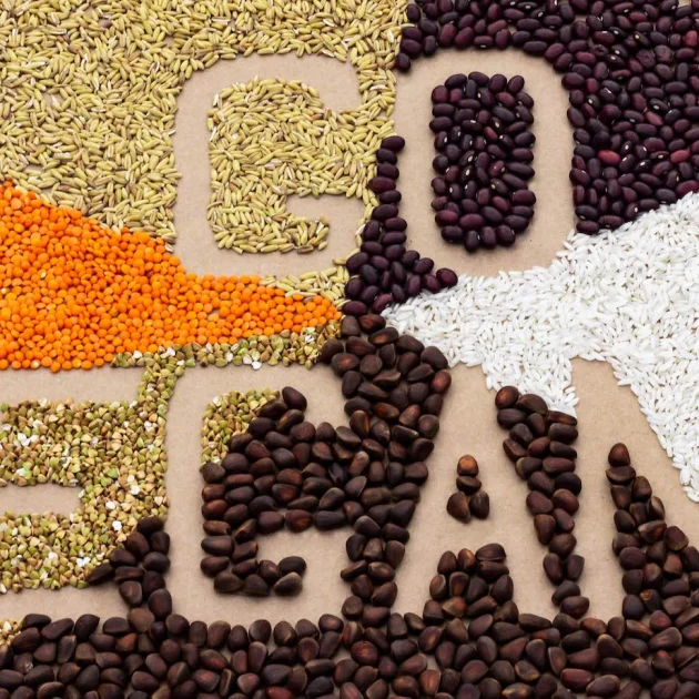 The best vegan alternatives & substitutes