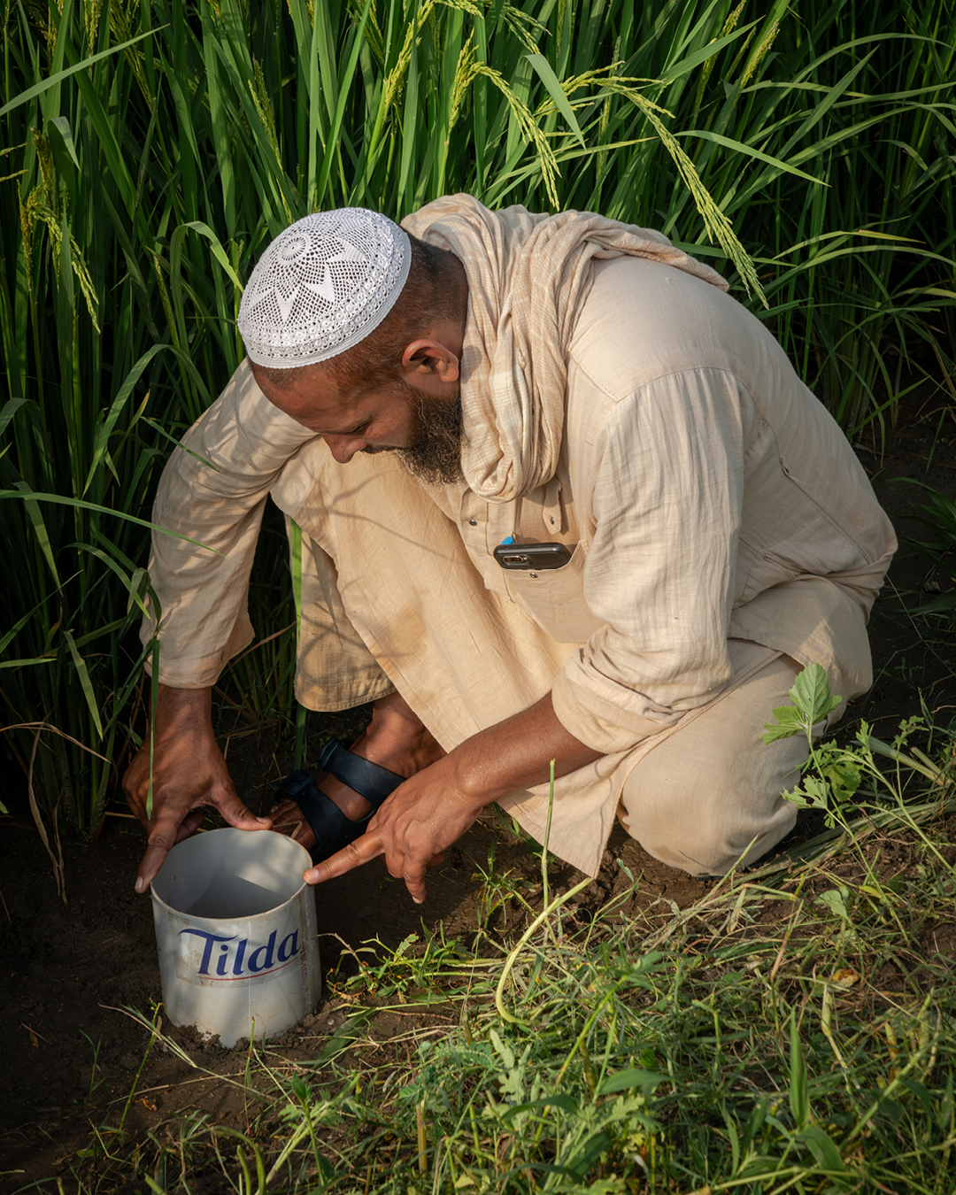 Sustainability