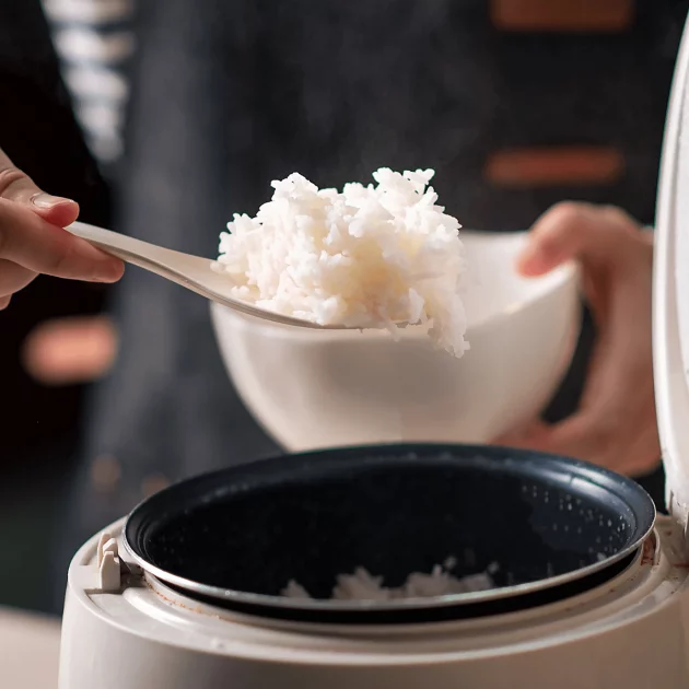 GUIDE DES CUISEURS DE RIZ