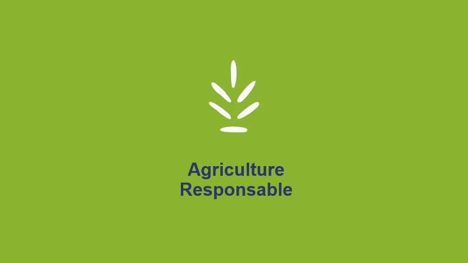 Nous nous engageons à créer une chaîne d'approvisionnement responsable en soutenant les moyens de subsistance des agriculteurs et en réduisant l'impact environnemental de la culture du riz.