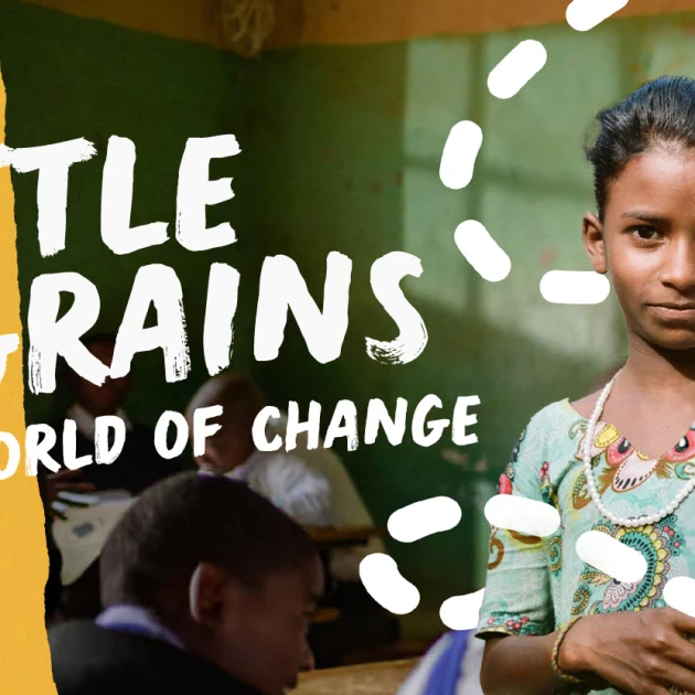 Little Grains, a World of Change