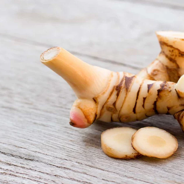 A Guide To Galangal